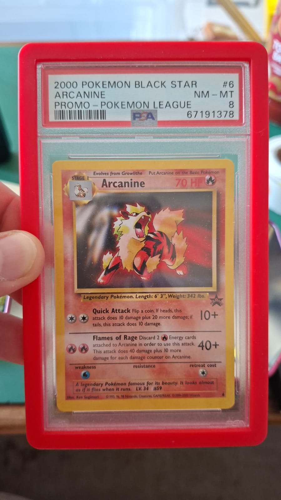Pokemon Arcanine 2000 Pokemon Black Star Promo  PSA 8 Graded Slab