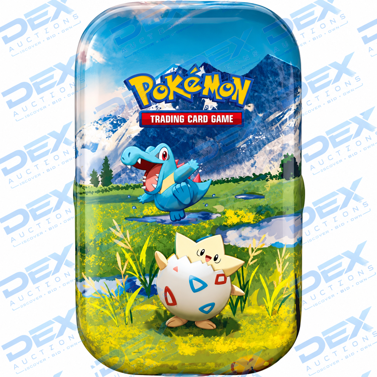 Pokemon Ascended Heroes Tin